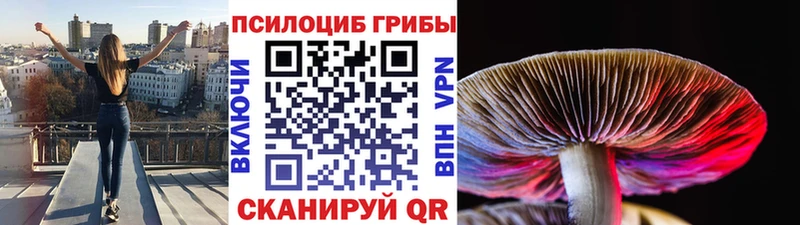 Купить  Саяногорск  Псилоцибиновые грибы прущие грибы 
